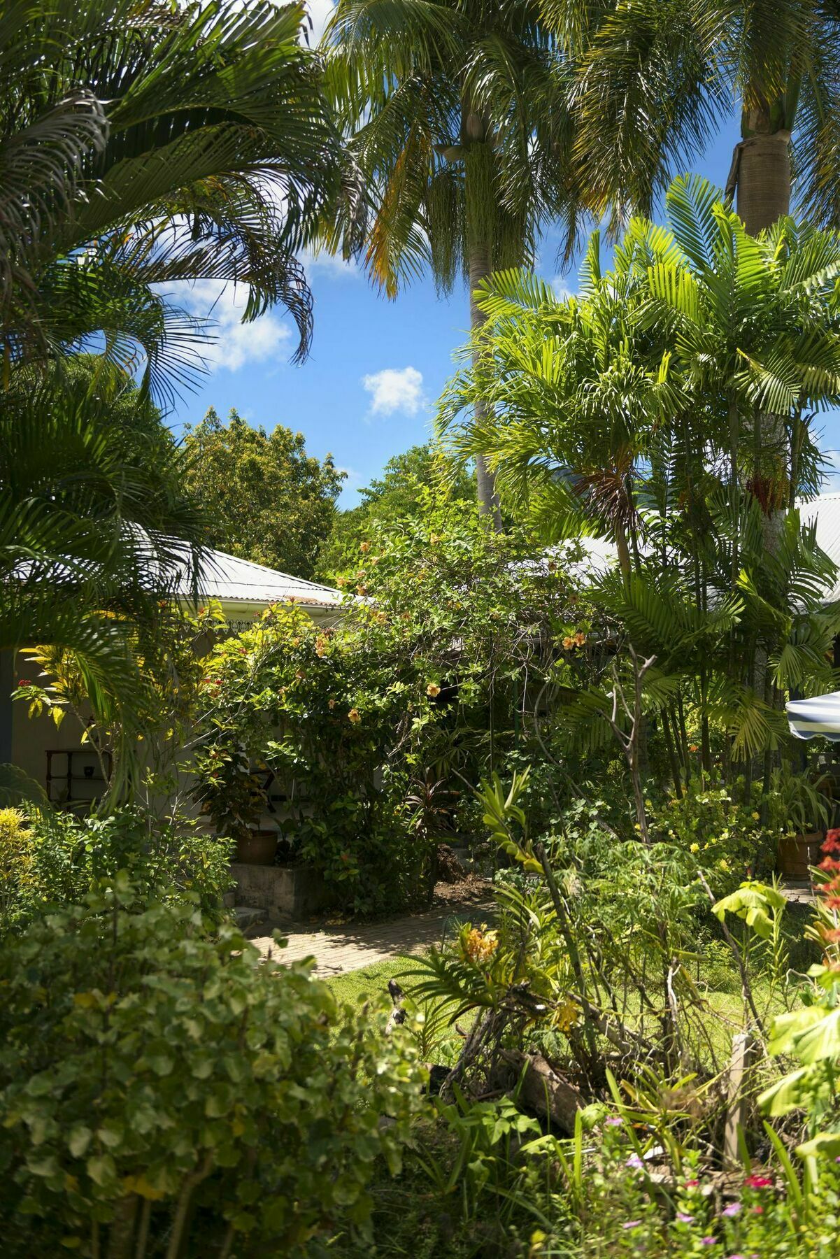 Auberge Chez Plume Anse Boileau Екстериор снимка